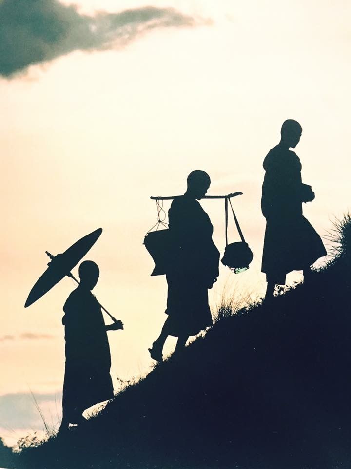 Zen masters tweet media