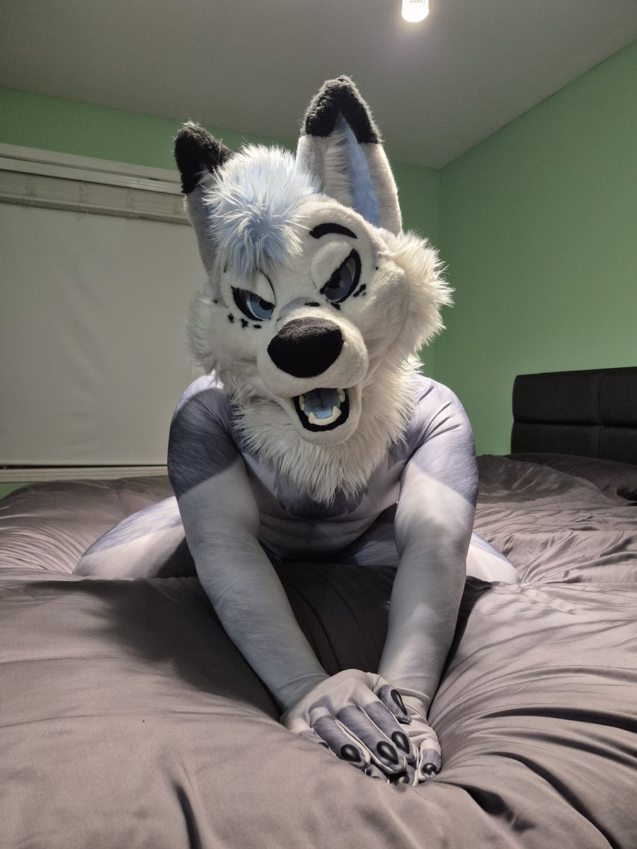 Artythefoxx tweet media