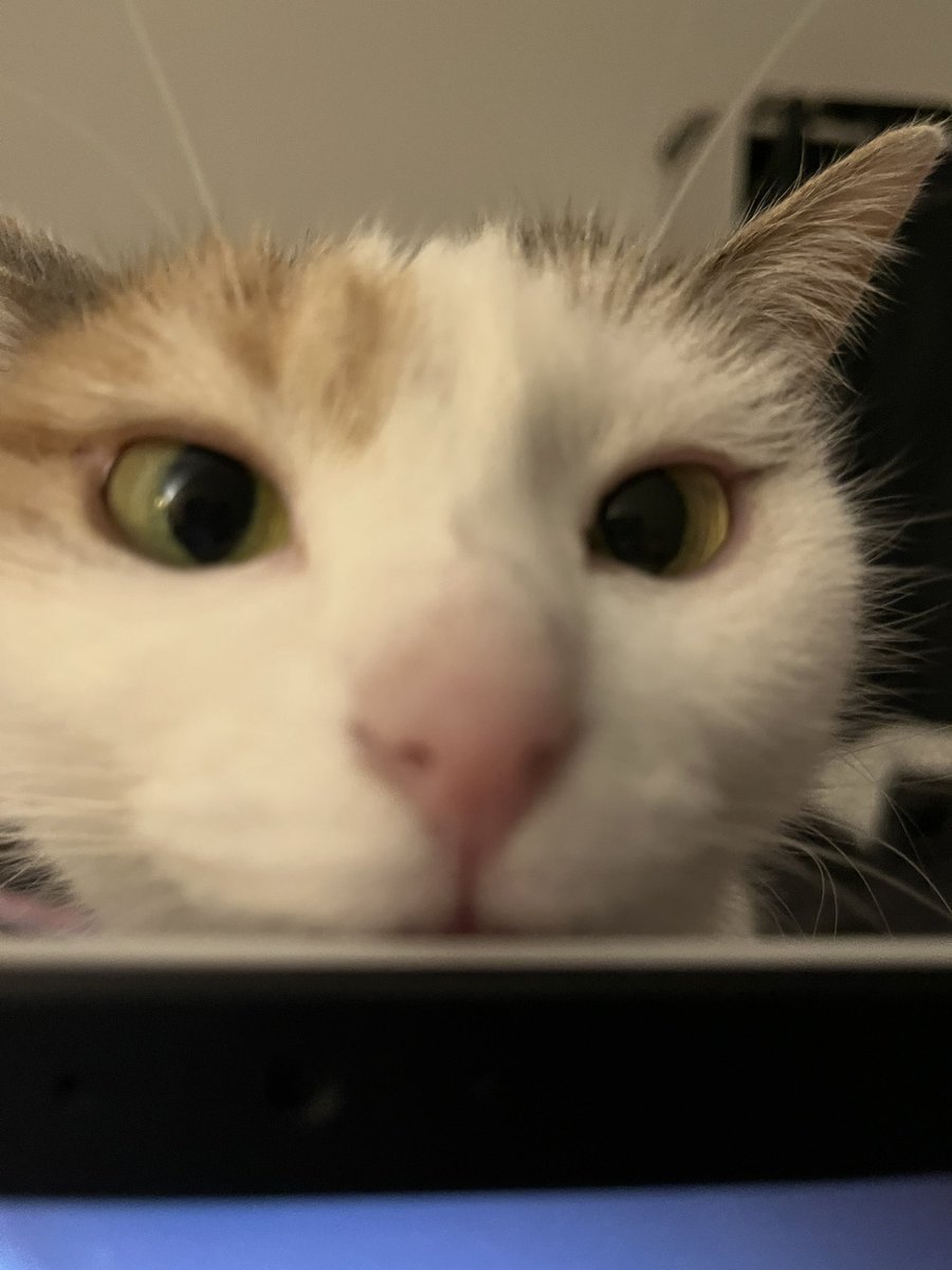 toupie bébé tweet media