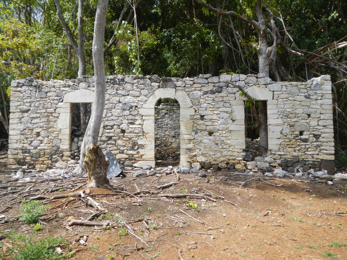 AntiquityJ's tweet image. In colonial French Polynesia, many buildings were constructed from coral, but European missionaries only recorded their own buildings.

Now, direct uranium-thorium dating deepens our understanding of domestic life in the Pacific #WednesdayWisdom

🆓 doi.org/10.15184/aqy.2…