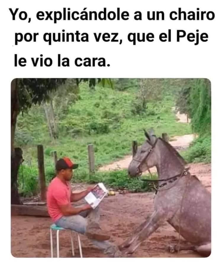 Teresa Mendoza 💜 tweet media