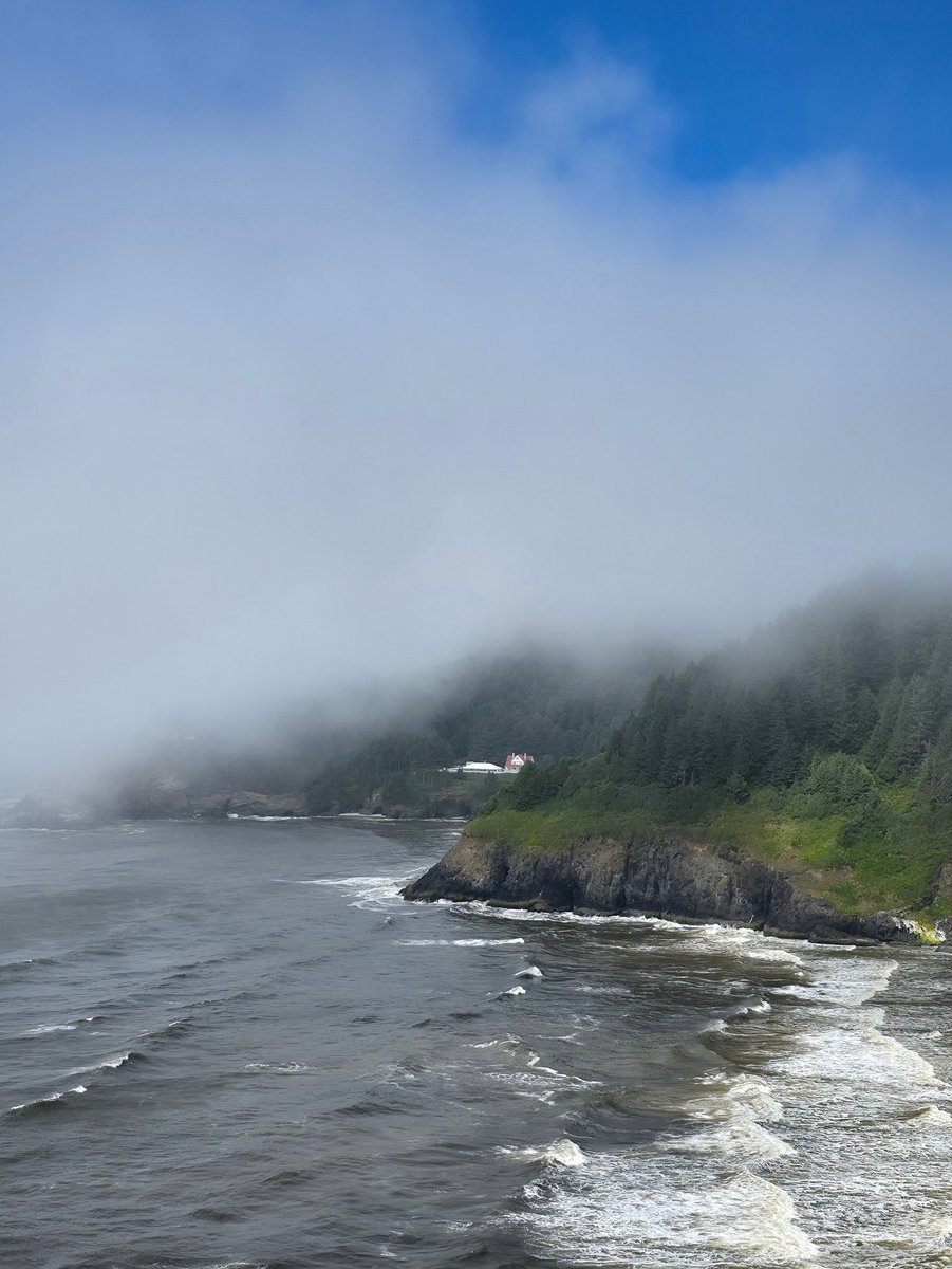 ذلیل‌مرده‌ tweet media