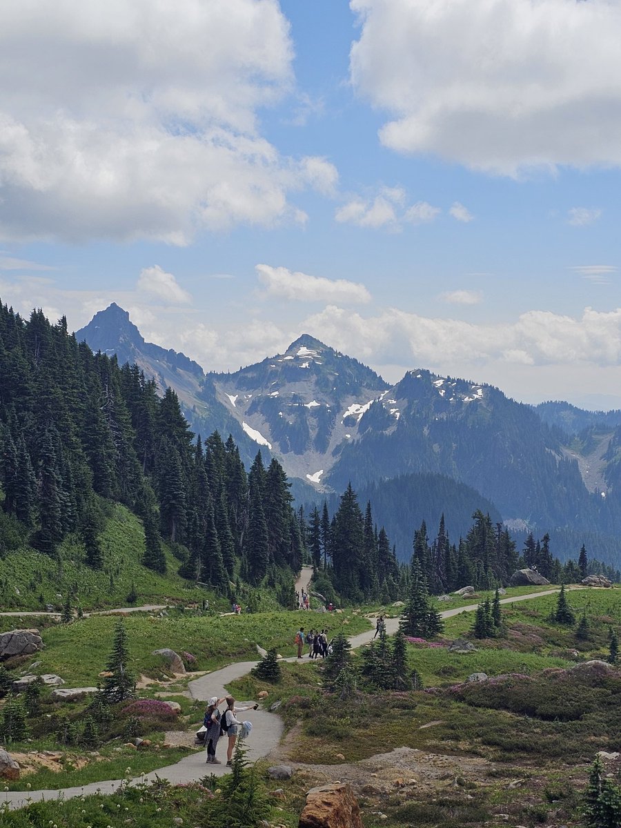 ذلیل‌مرده‌ tweet media