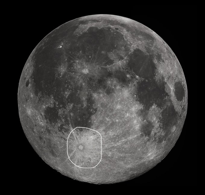 Tolaroid tweet media