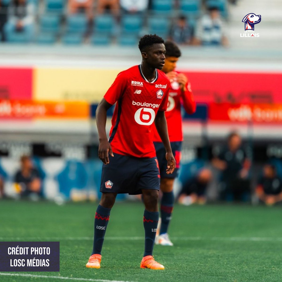 Le Petit Lillois ⚜️ tweet media