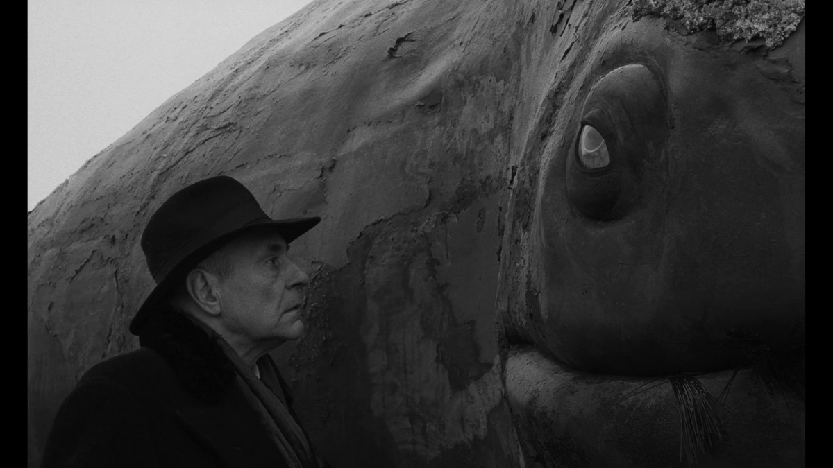 pacho drives tweet media