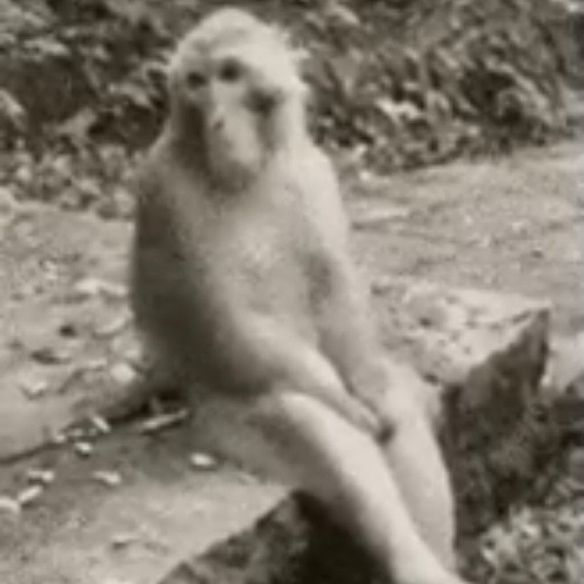 yellow theCreator tweet media