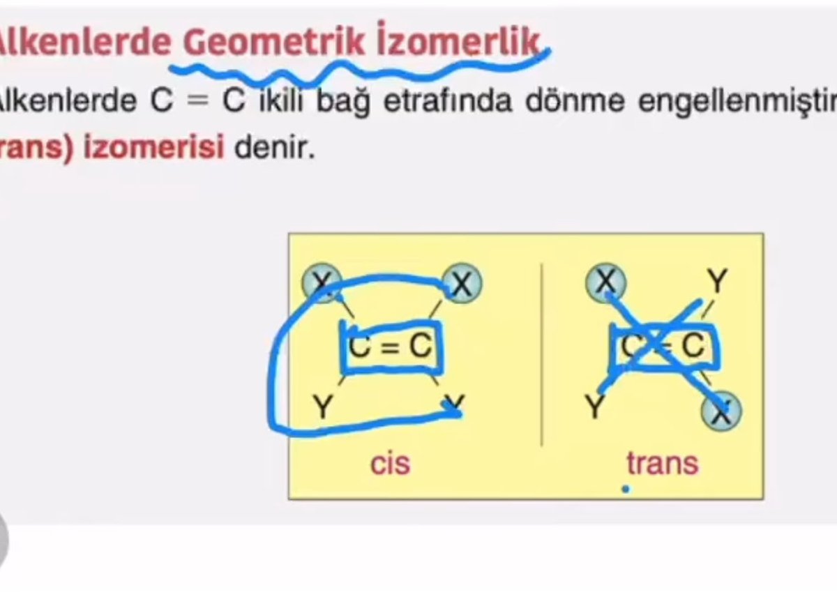Çiçekçi tweet media