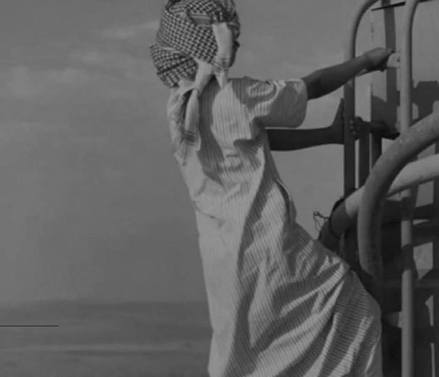 𓆩𓅓𓆪 tweet media