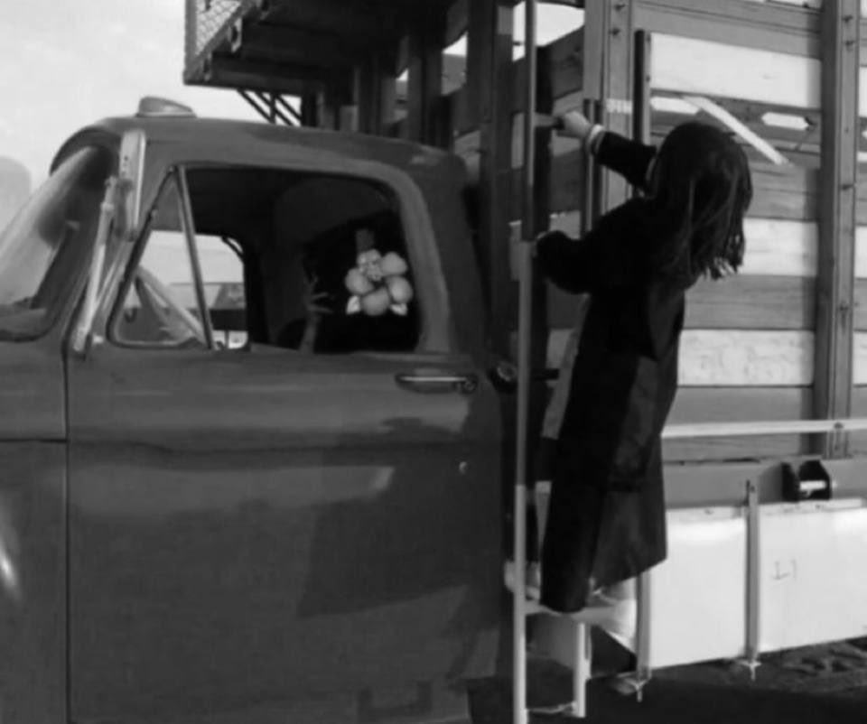 𓆩𓅓𓆪 tweet media