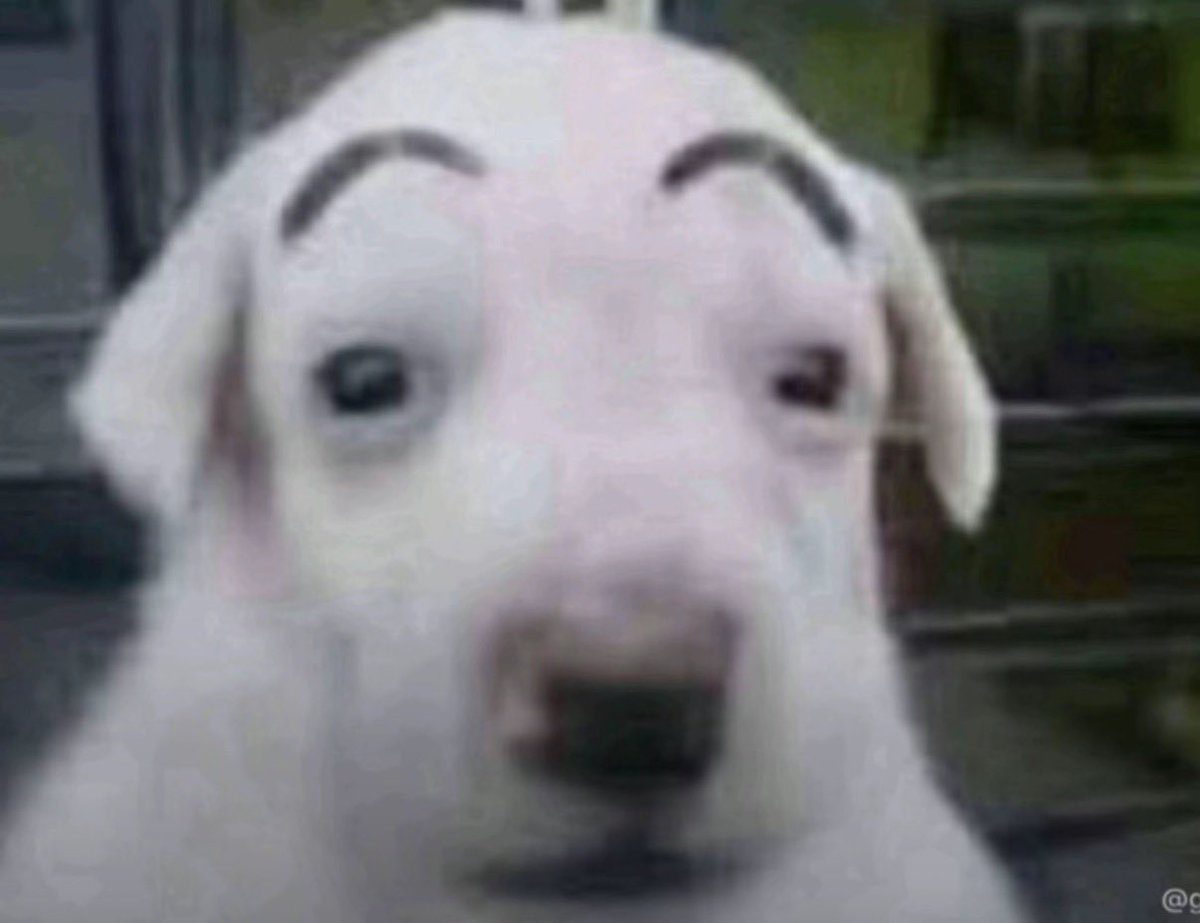 MonkeyNuggetDealer tweet media