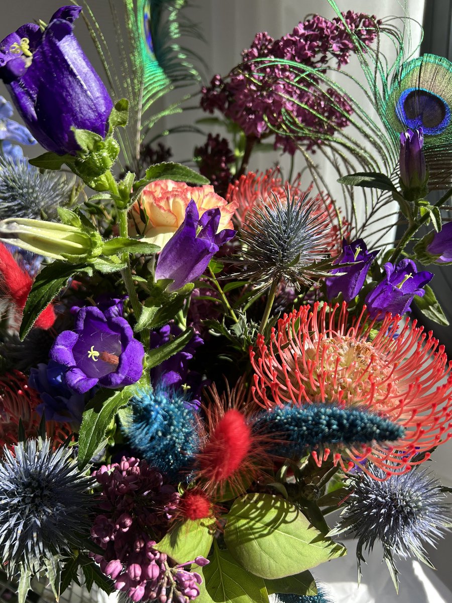 t𖦹m🕷️🐒 tweet media