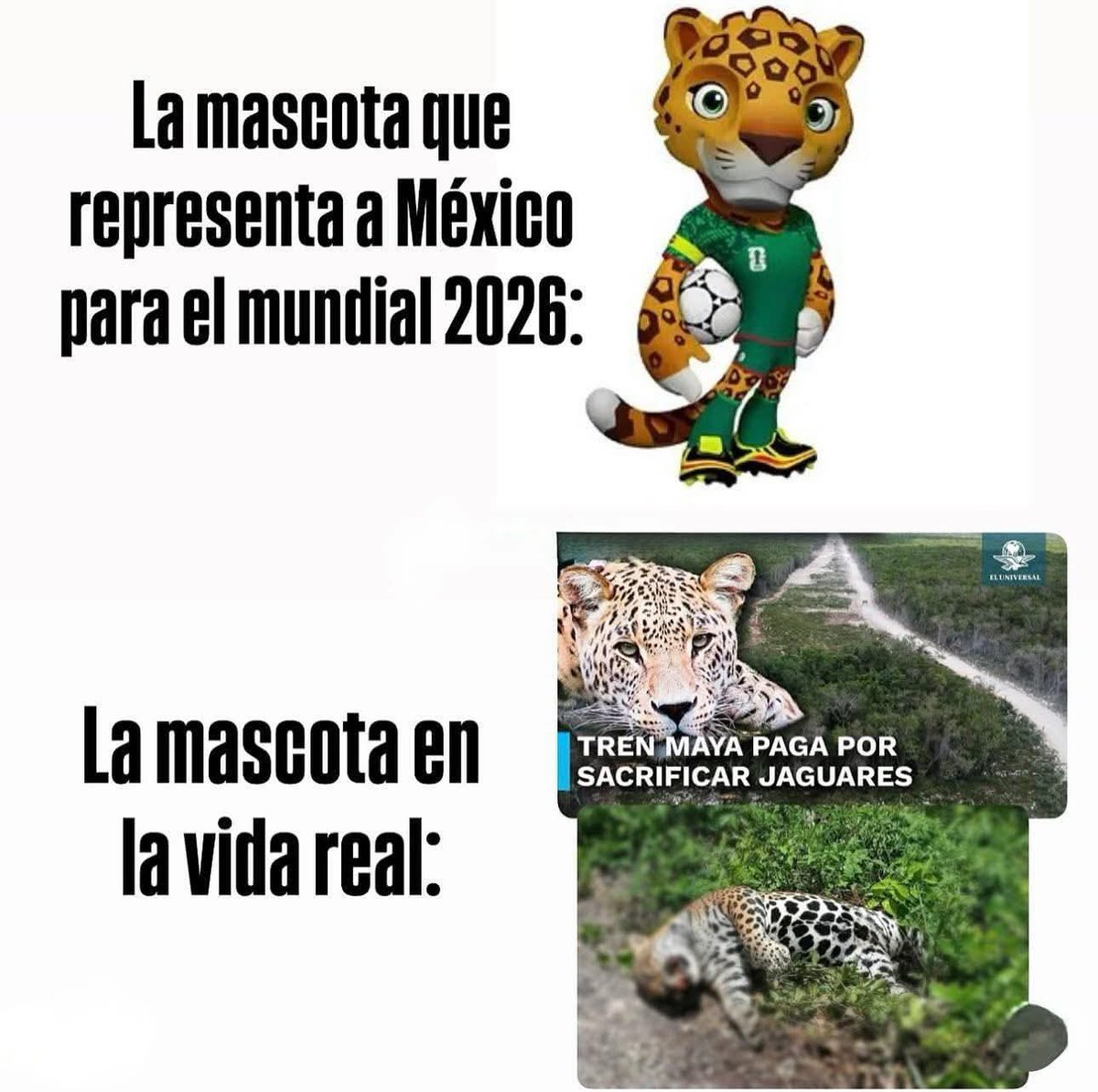 En Júpiter tweet media