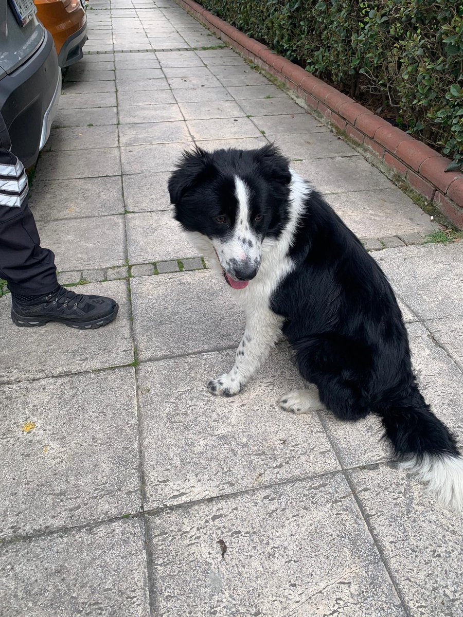 Özz'ün dünyası 🐾 tweet media