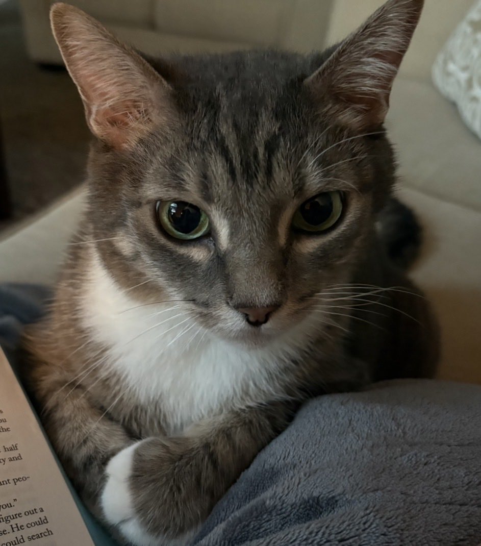 sarah ⋆˙⟡ en- is seven tweet media