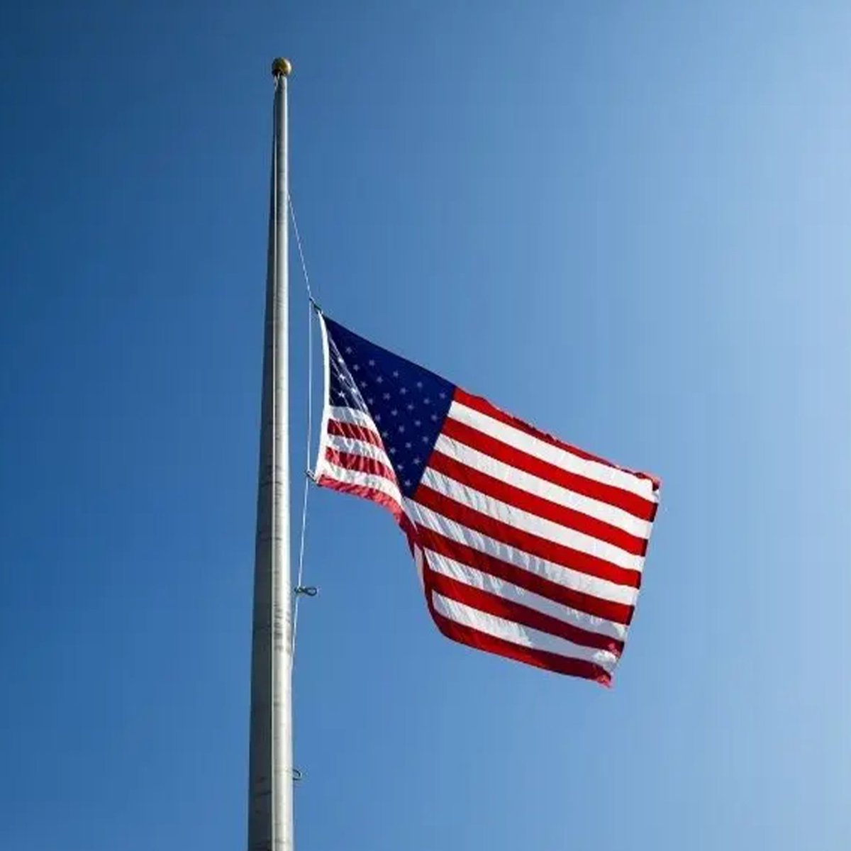 jacksfilms tweet media