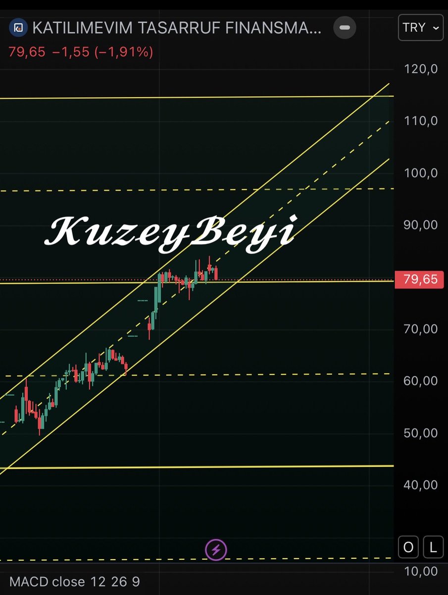 𝑲𝒖𝒛𝒆𝒚𝒃𝒆𝒚𝒊 tweet media