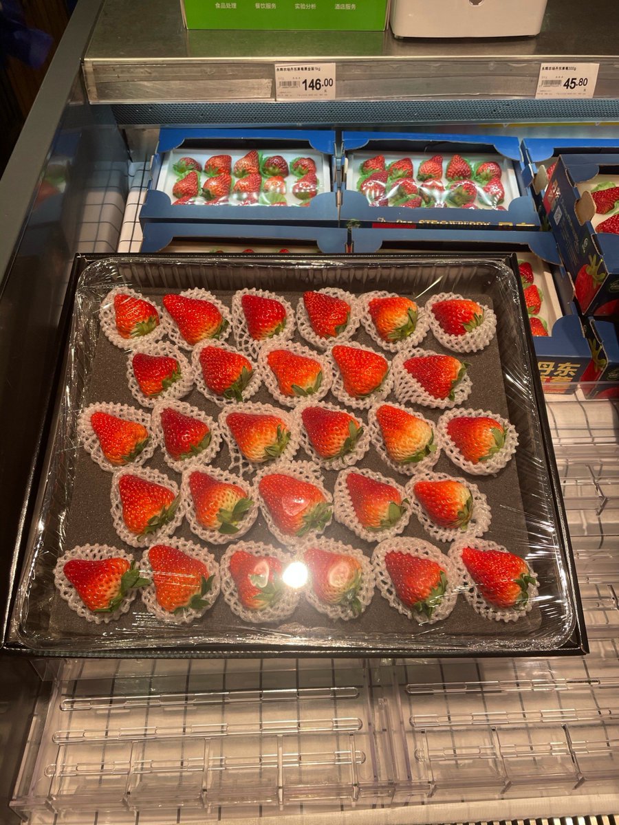 michelle francis tweet media