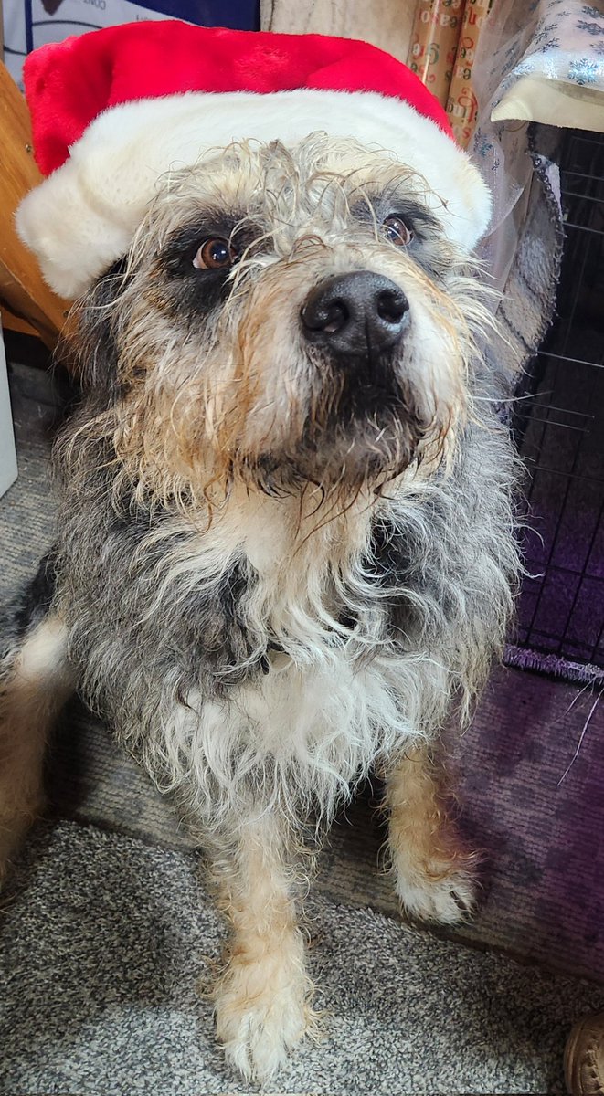 Alaskangirl tweet media