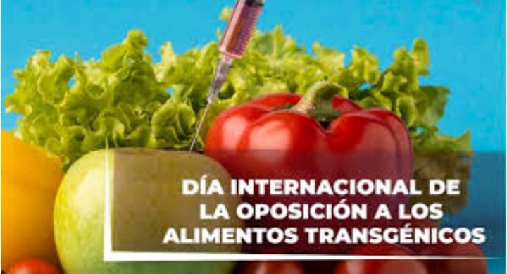 Delegación Territorial del CITMA en Villa Clara tweet media