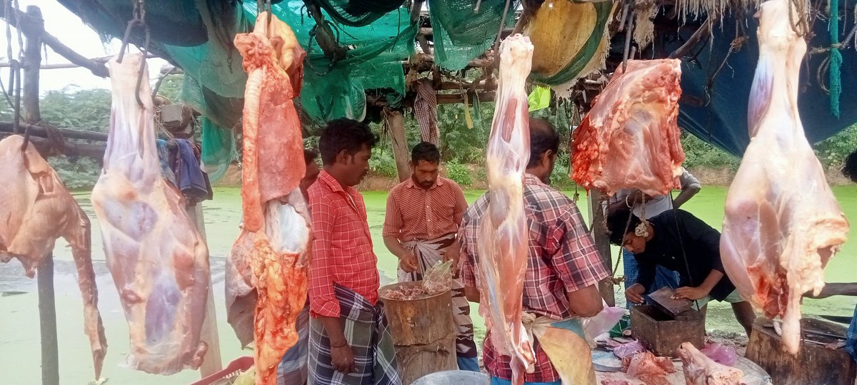 Josh champloo tweet media