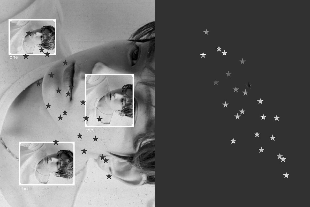 cutestuff tweet media