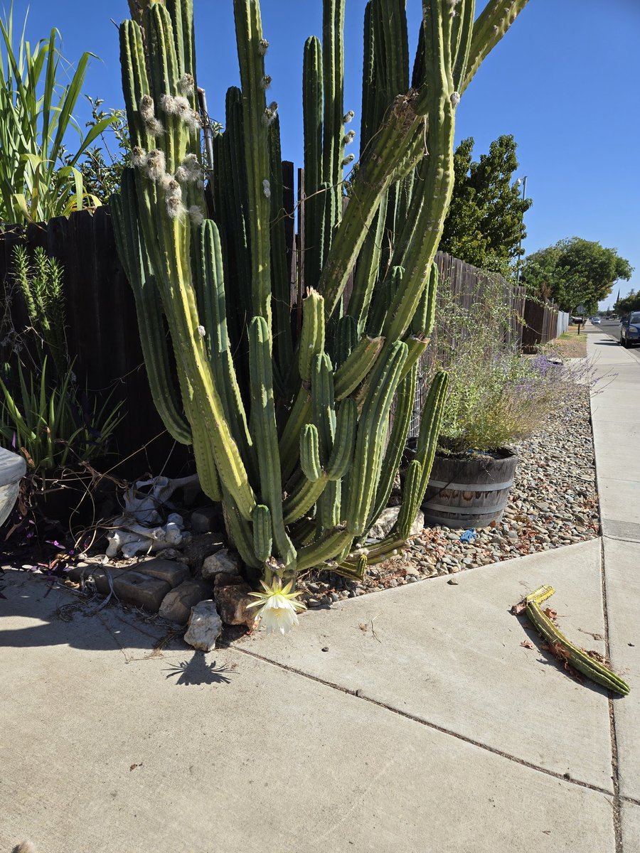 Ann Marie Silva tweet media