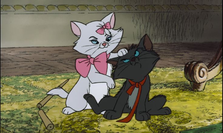 softly magical°🦢♡ tweet media