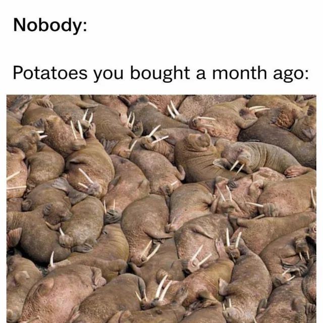 AAAAAAAAAA tweet media