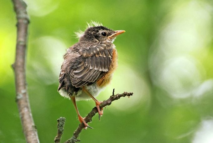 Give A Shit About Nature tweet media