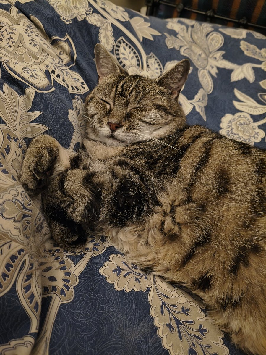 Alex Merry tweet media