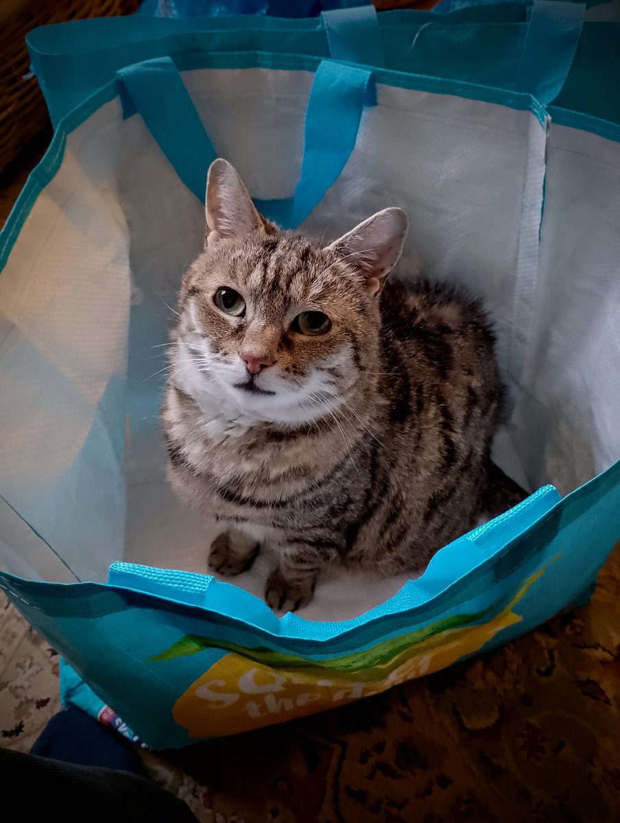 Alex Merry tweet media