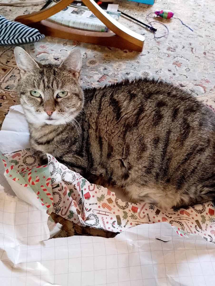 Alex Merry tweet media