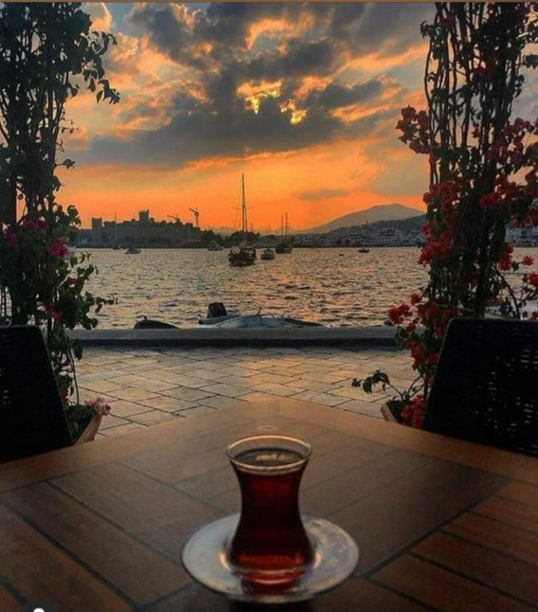 cyalcintoros's tweet image. Akşam çayı
#teatime
#günbiterken
#güneşbatarken
#hayatinicinden
#sunset