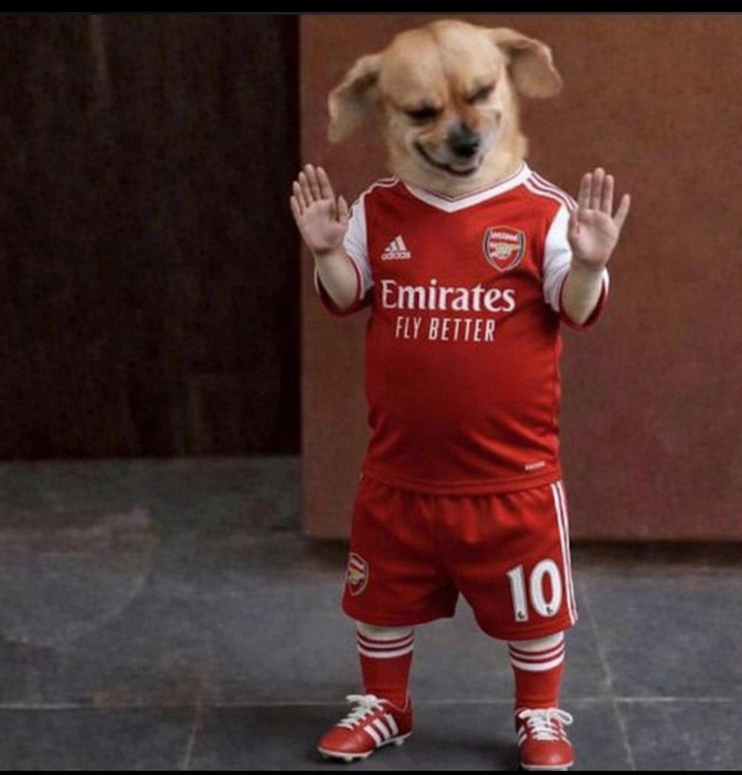 K1ngkong tweet media