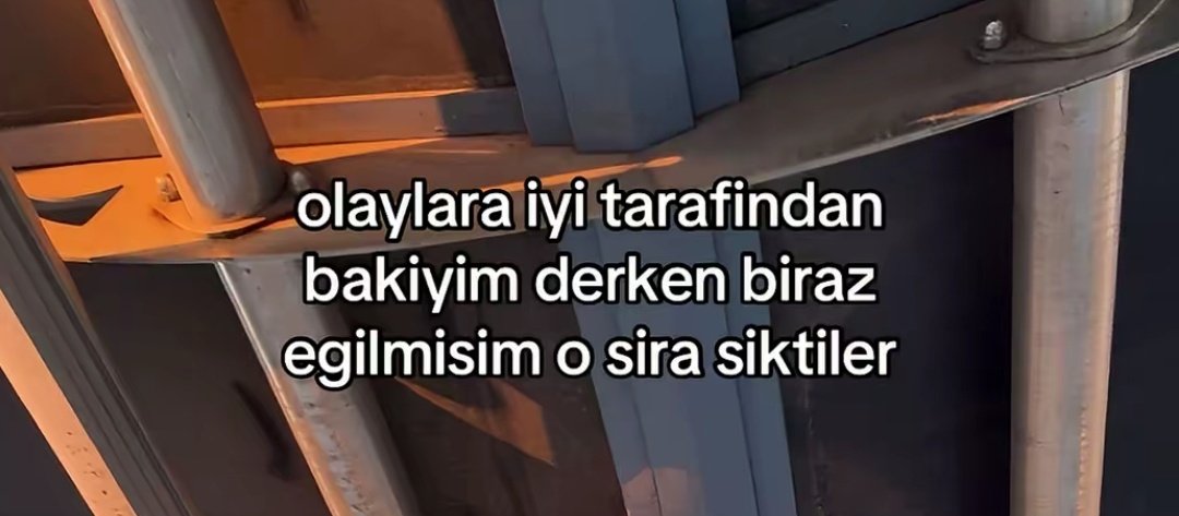 evaaa𓃠 tweet media