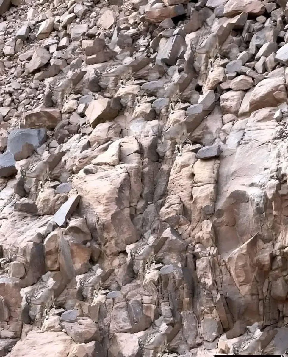 اكتشف أكثر tweet media