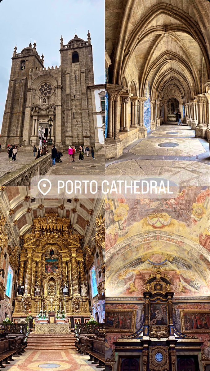 Tricky Tree (Jake) 🌳 tweet media