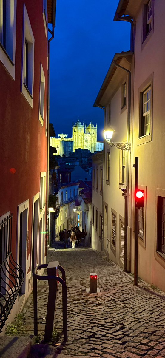 Tricky Tree (Jake) 🌳 tweet media