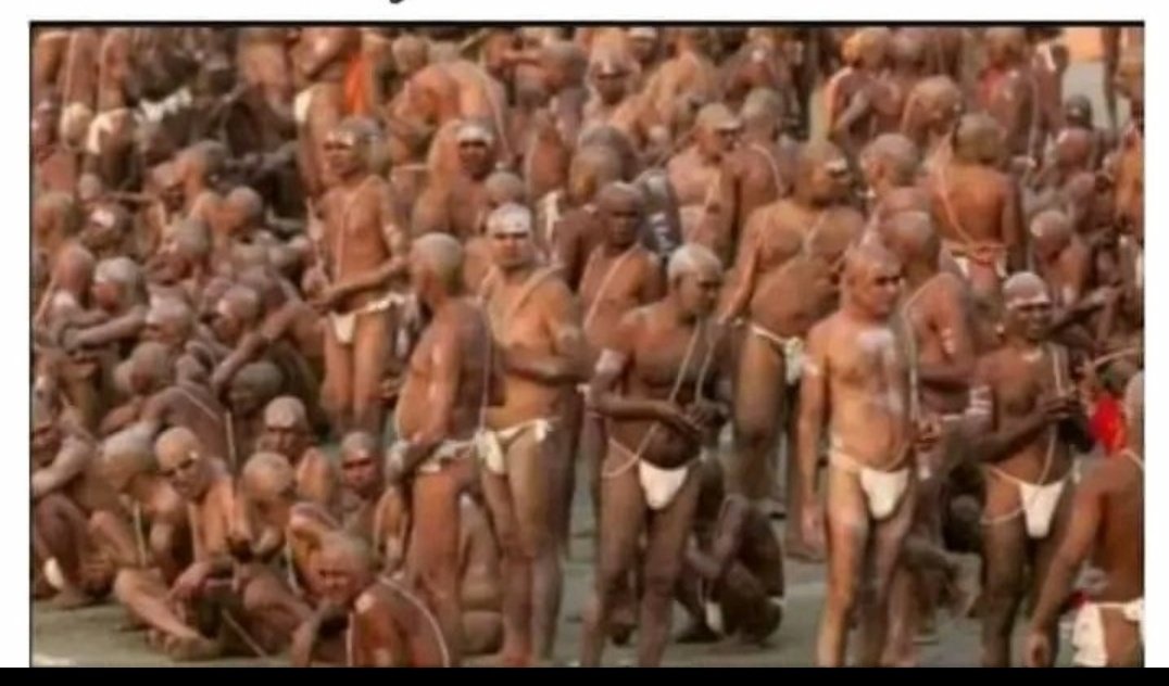 Josh champloo tweet media