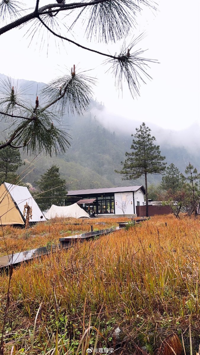 sanjeev ranjan tweet media