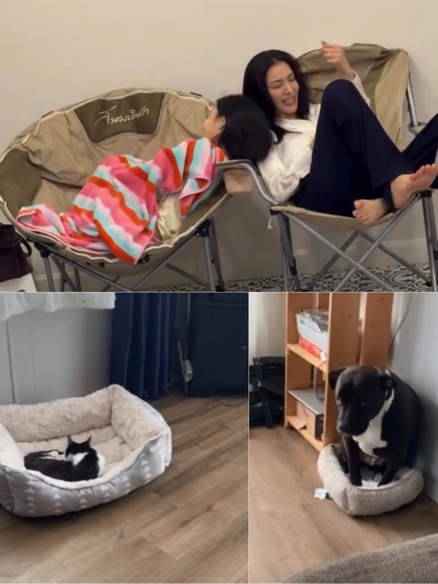 ⋆˚𝑫𝜚˚⋆☻🌻 tweet media