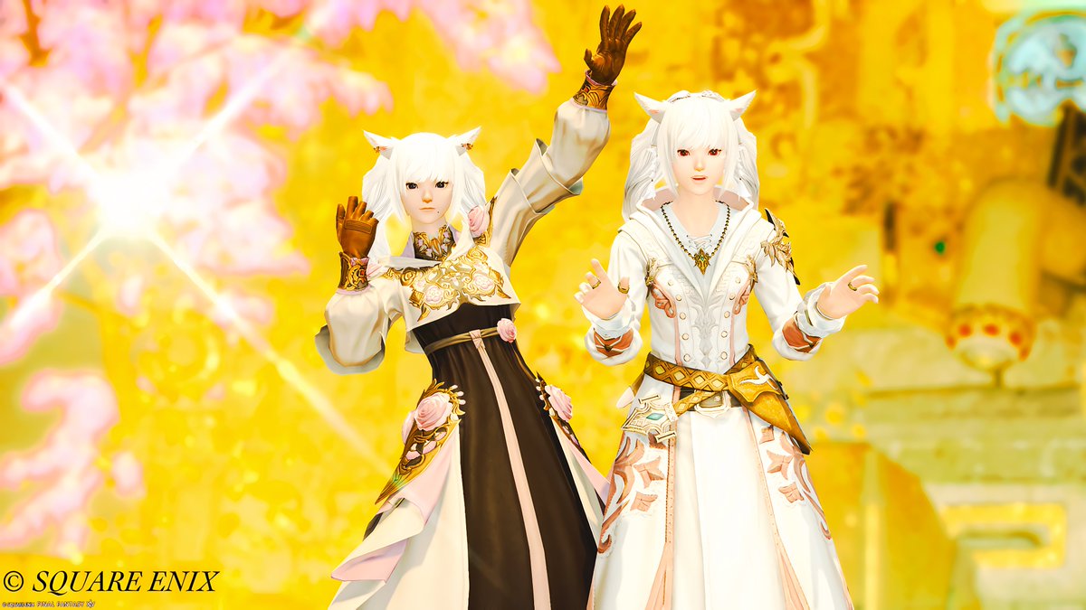 10Lcam's tweet photo. Sinoさんと地図をしてきました

楽しい時間をたくさんありがとうございました
#FF14 #鼻黒ッテ https://t.co/1B63hb1pjf