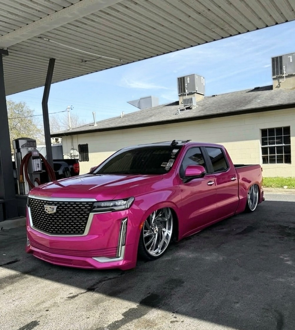 ๐๐ฐ๐ช๐ฏ๐ต๐ญ๐ฆ๐ด๐ด ๐๐ง๐ช๐๐ ๐จโข tweet media