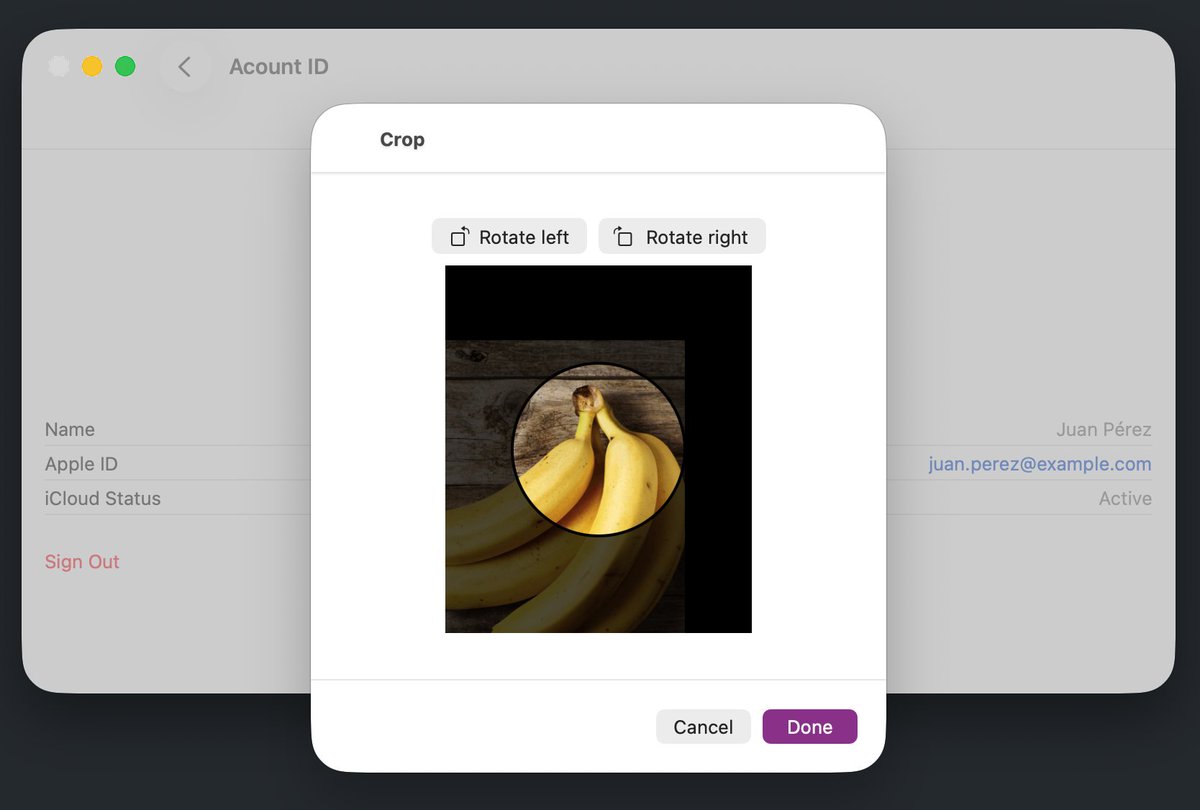 codelaby tweet media