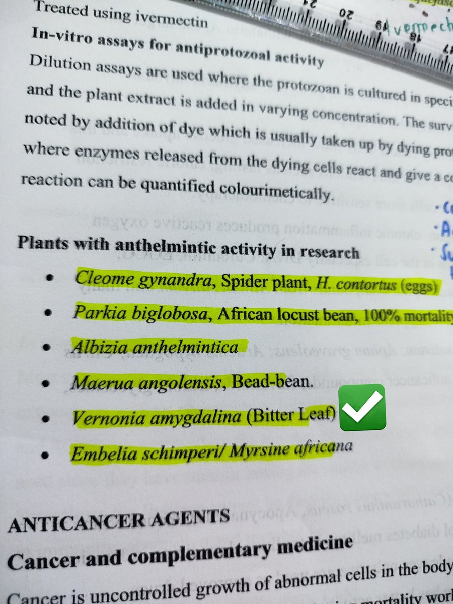 Miss. Spark ✨ tweet media