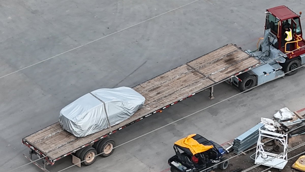 Nic Cruz Patane tweet media