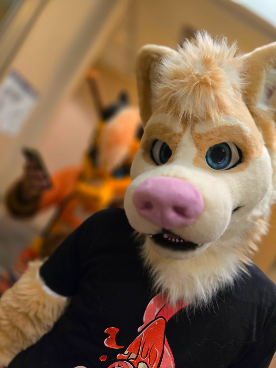 👑Prince of Barkness👑 🔜 FWA tweet media