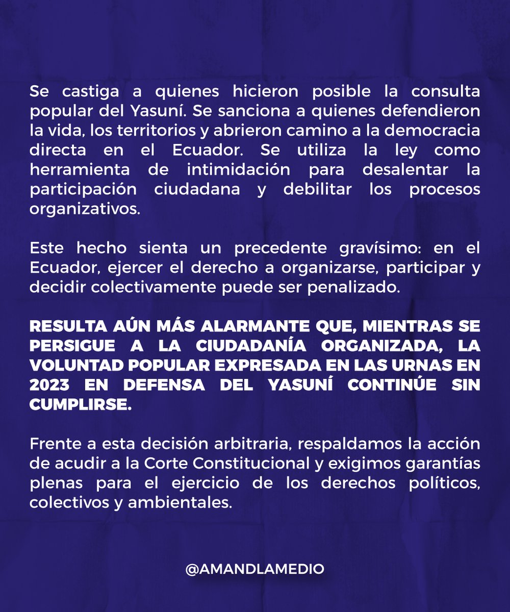 Amandla Medio Digital tweet media