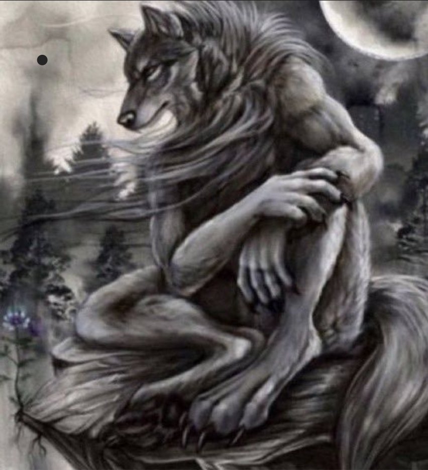 جز اربعطعش tweet media